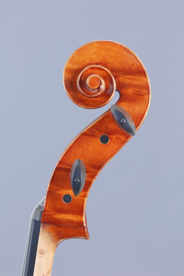 Leonhardt Rainer W. - Mittenwald Anno 2025 - Guadagnini - wild birds-eye - C-426